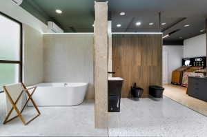  Showroom Pipera