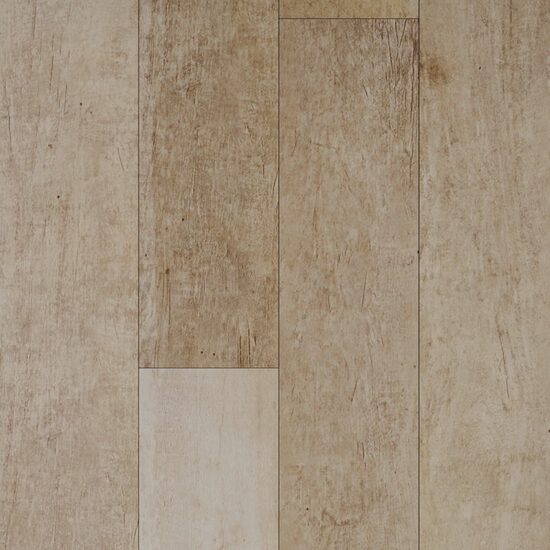 NEW FOREST LUCIOS 01021