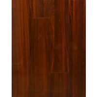 NEW FOREST LUCIOS 1161