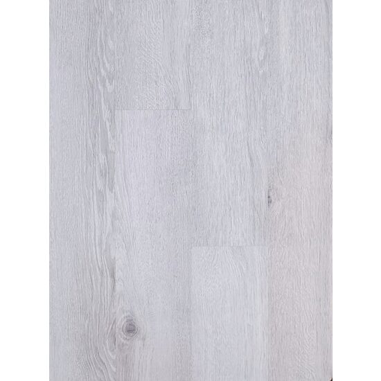 NEW FOREST LUCIOS 230015