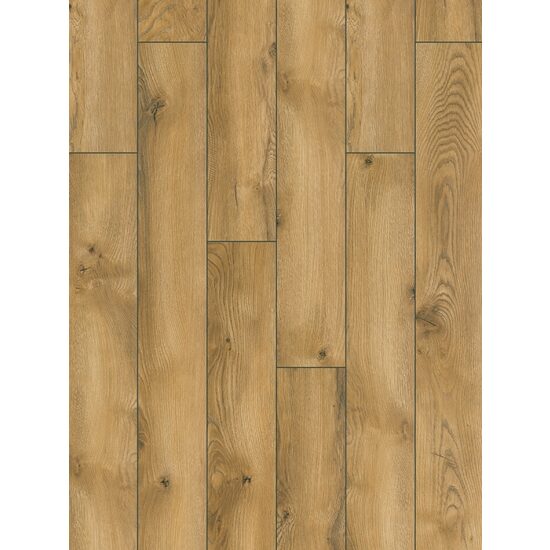 CLASSEN EXTREME 54751