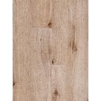 NEW FOREST LUCIOS 230014