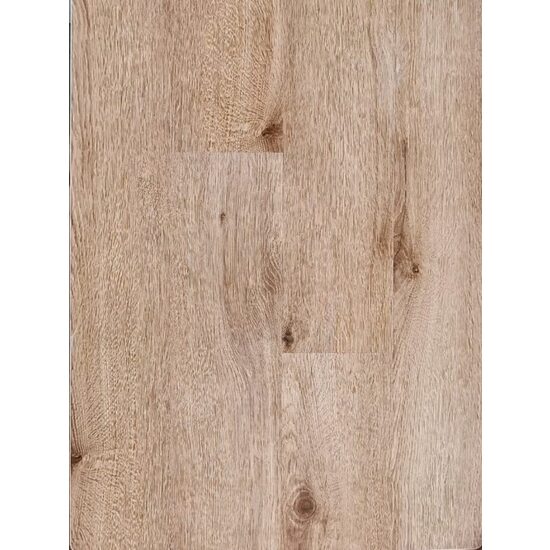 NEW FOREST LUCIOS 230014