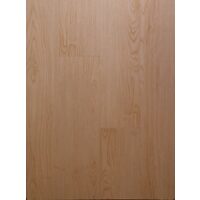 NEW FOREST LUCIOS 18826