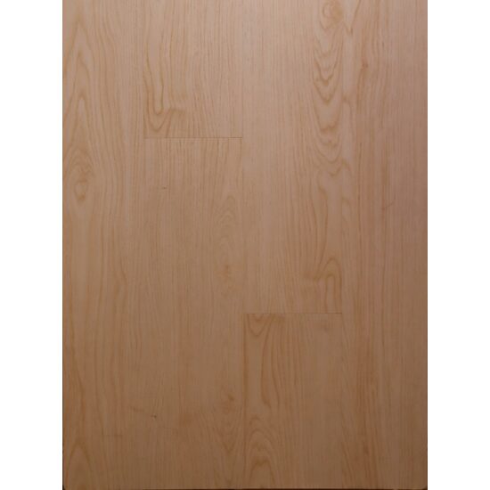 NEW FOREST LUCIOS 18826