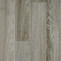 NEW FOREST LUCIOS 825512