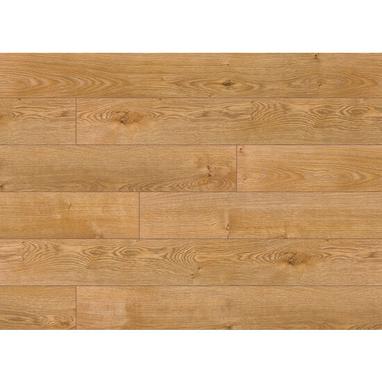 CLASSEN ADVENTURE 62594