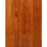 NEW FOREST LUCIOS 1577832