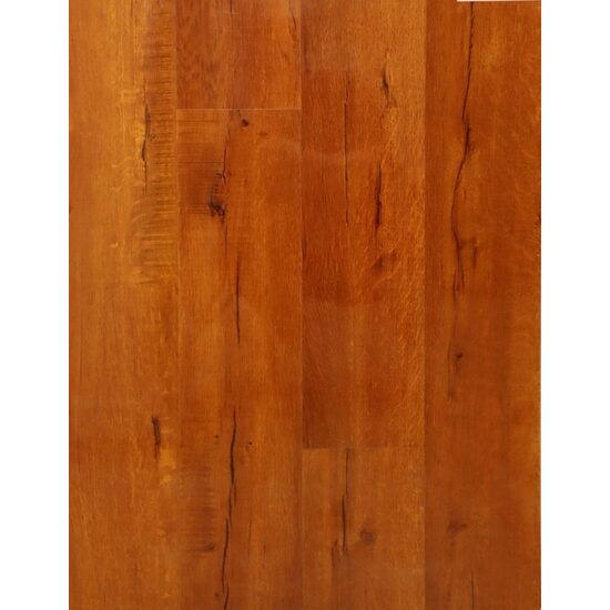 NEW FOREST LUCIOS 1577832