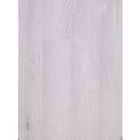 NEW FOREST LUCIOS 230022