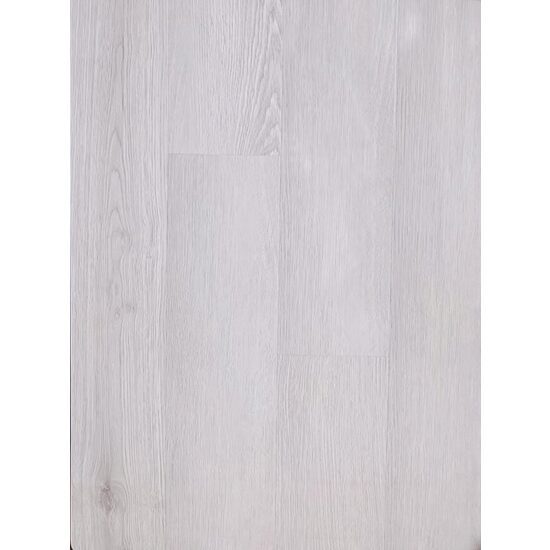 NEW FOREST LUCIOS 230022