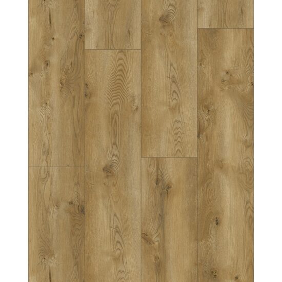 CLASSEN EVOLUTION 63126