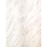 NEW FOREST LUCIOS 130484