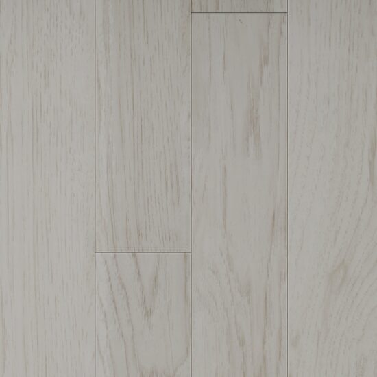 NEW FOREST LUCIOS 170037