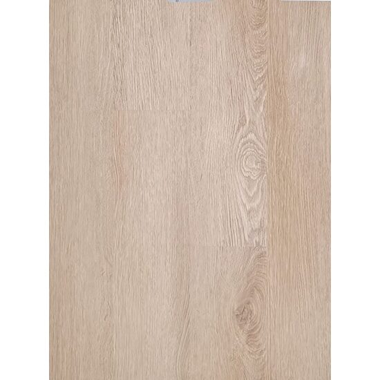 NEW FOREST LUCIOS 230021