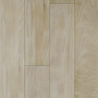 NEW FOREST LUCIOS 10202