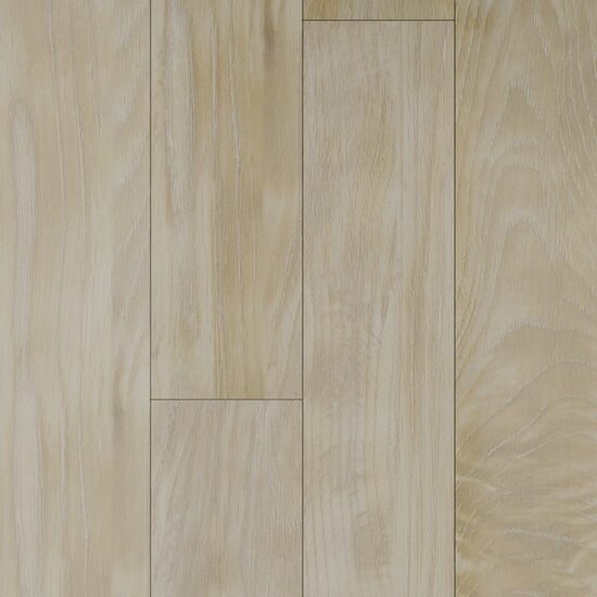 NEW FOREST LUCIOS 10202