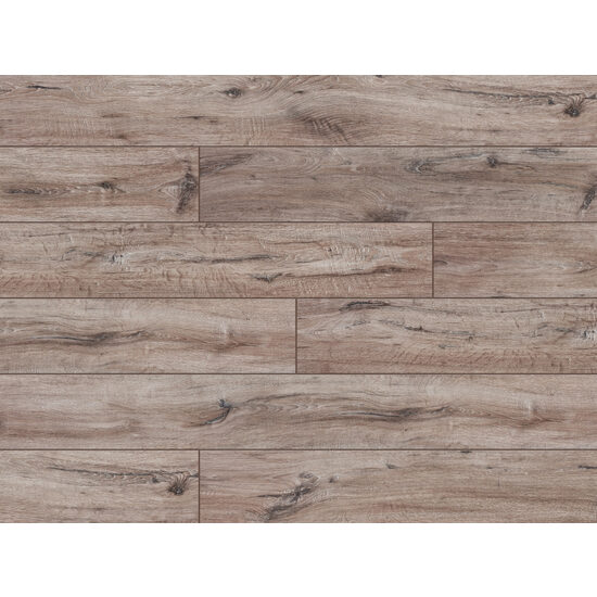 CLASSEN ADVENTURE 62597