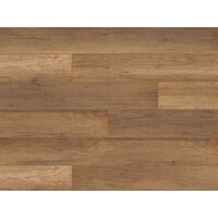 CLASSEN ADVENTURE 62596