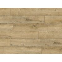 CLASSEN ADVENTURE 62598