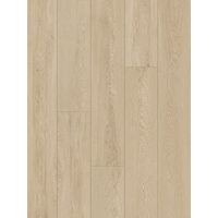 CLASSEN TRADITION 65121