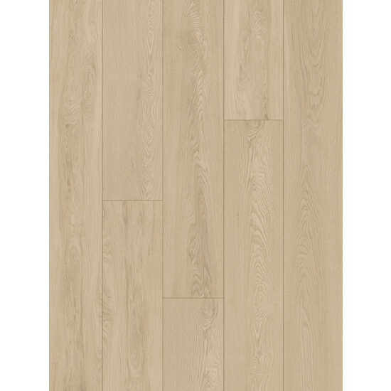 CLASSEN TRADITION 65121