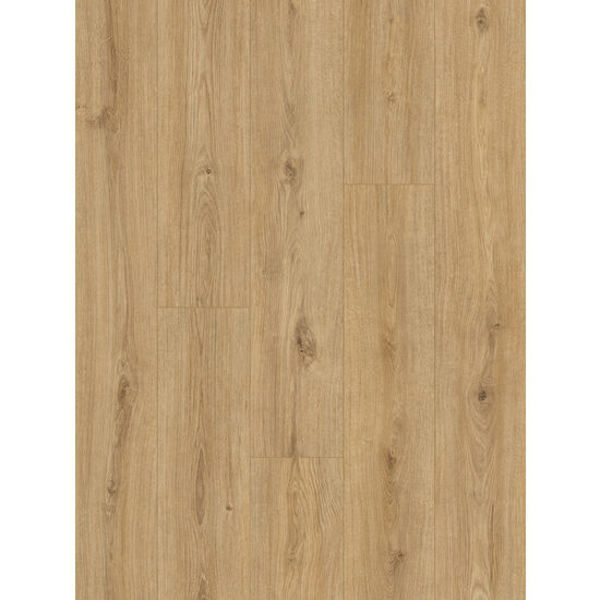 CLASSEN LEGACY 65360