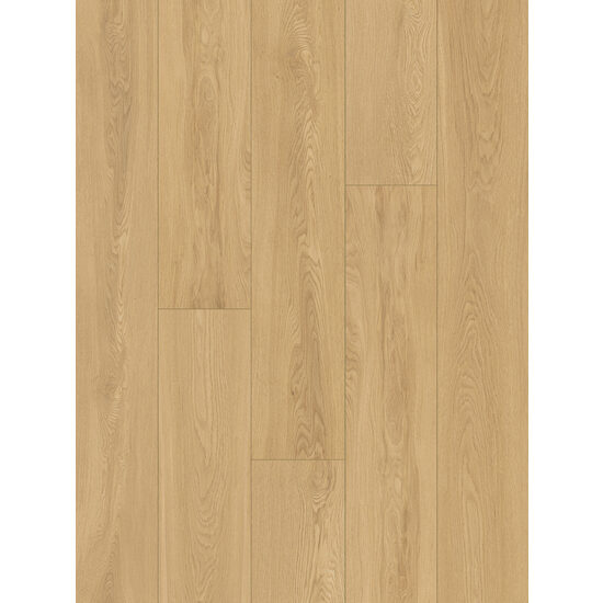 CLASSEN TRADITION 65124